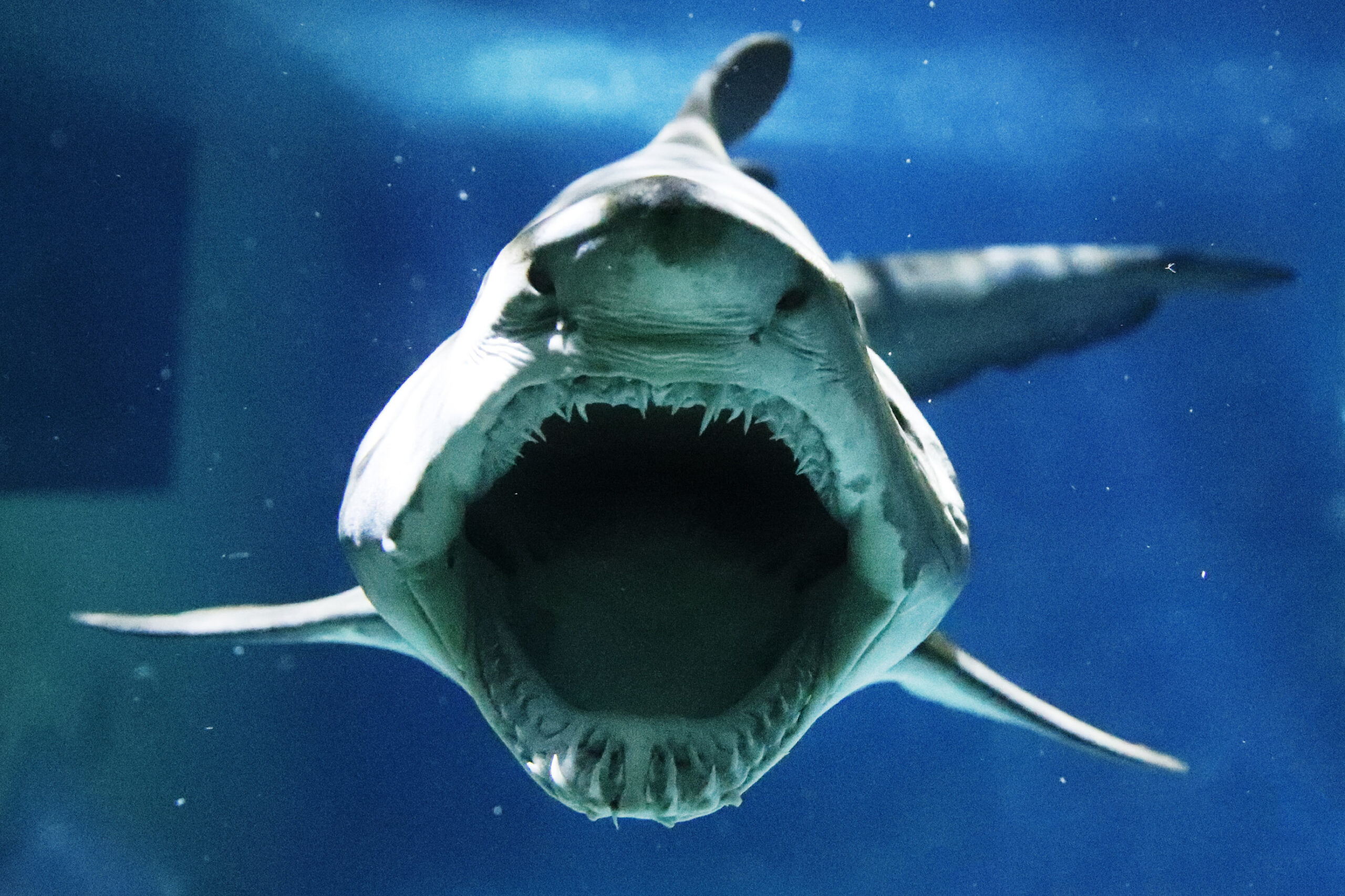 Bilder einer Stadt: Zella-Mehlis von 2000 bis heute